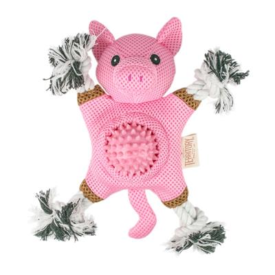 Pig 2-in-1 Dog Toy